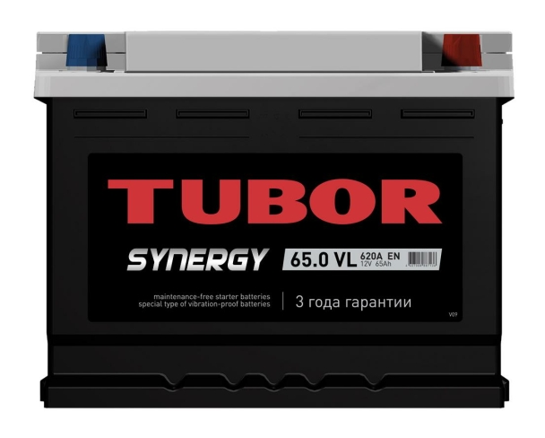 Tubor Synergy 6СТ-65.0 VL