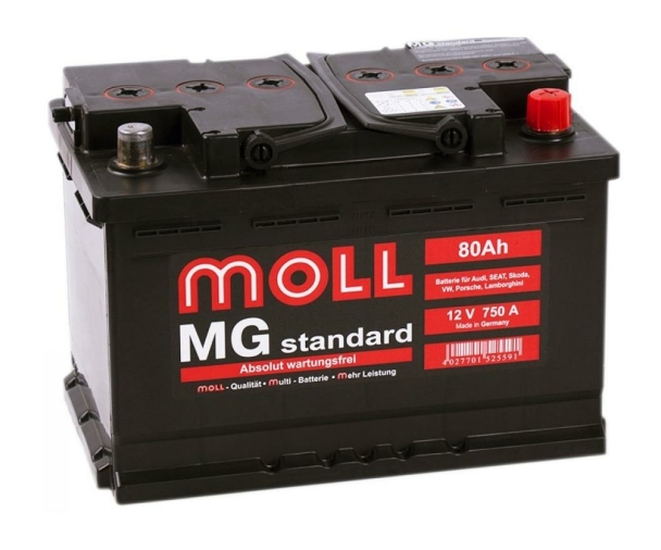 Moll Standard MG 6CT-80L
