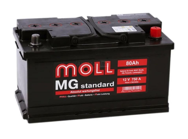 Moll Standard MG 6CT-80RS