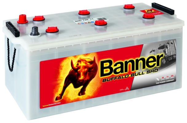 Banner Buffalo Bull 72511